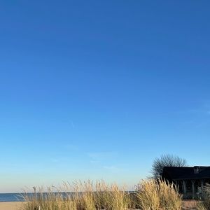 Meet your Posher, Ivy